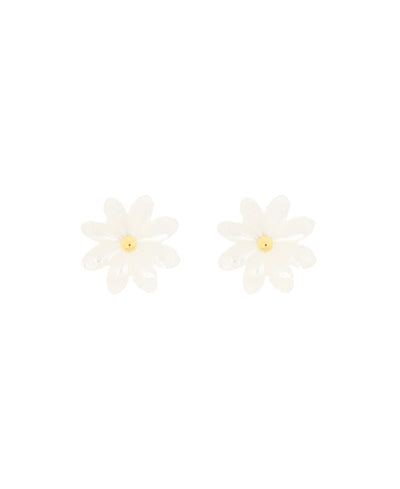 WITTE BLOEMEN